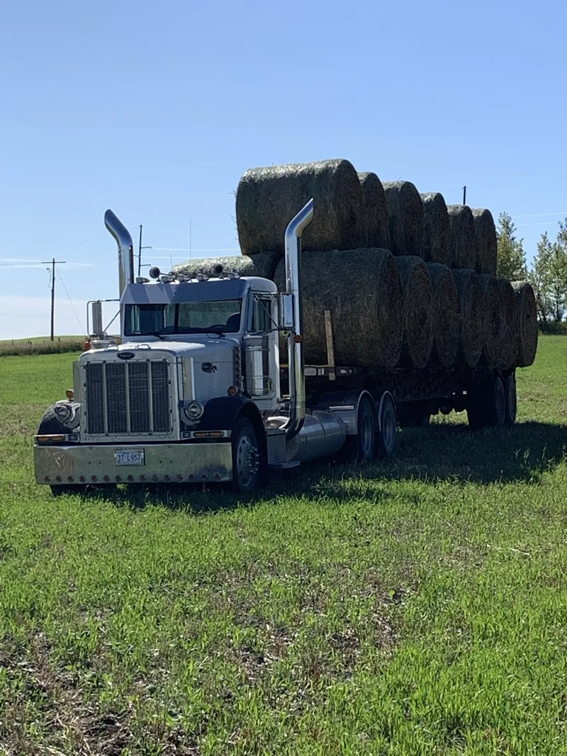 Highway truck carrying a tall load of hay bales on a grassy area